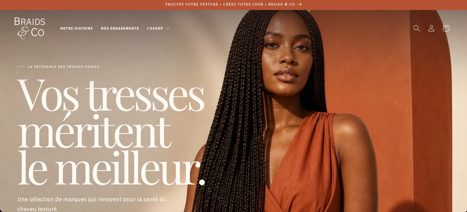 Braids & Co website preview